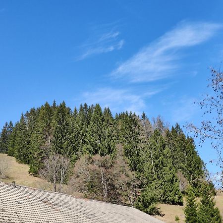 Berggasthaus Prager Boden Todtnau Extérieur photo