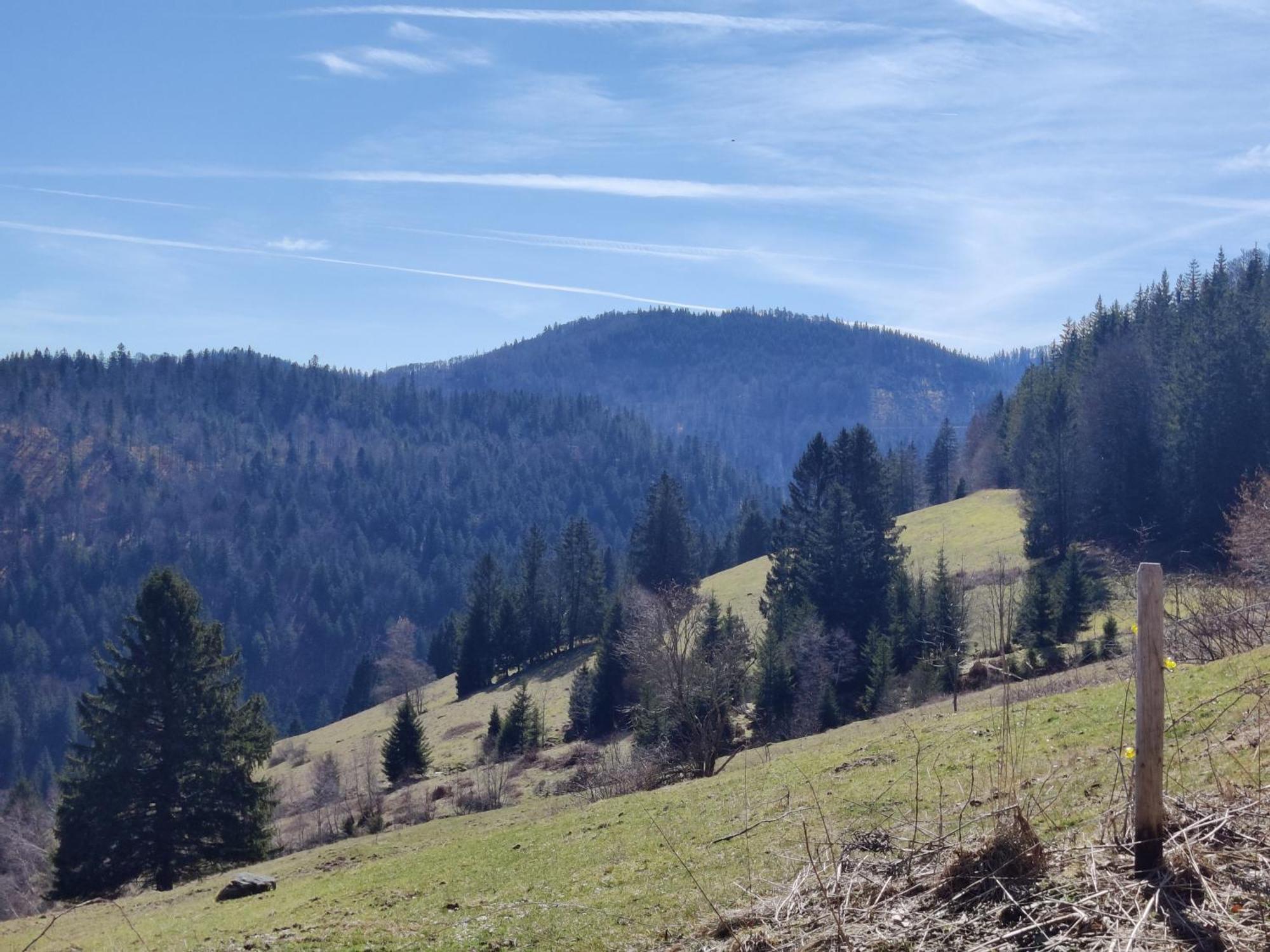 Berggasthaus Prager Boden Todtnau Extérieur photo