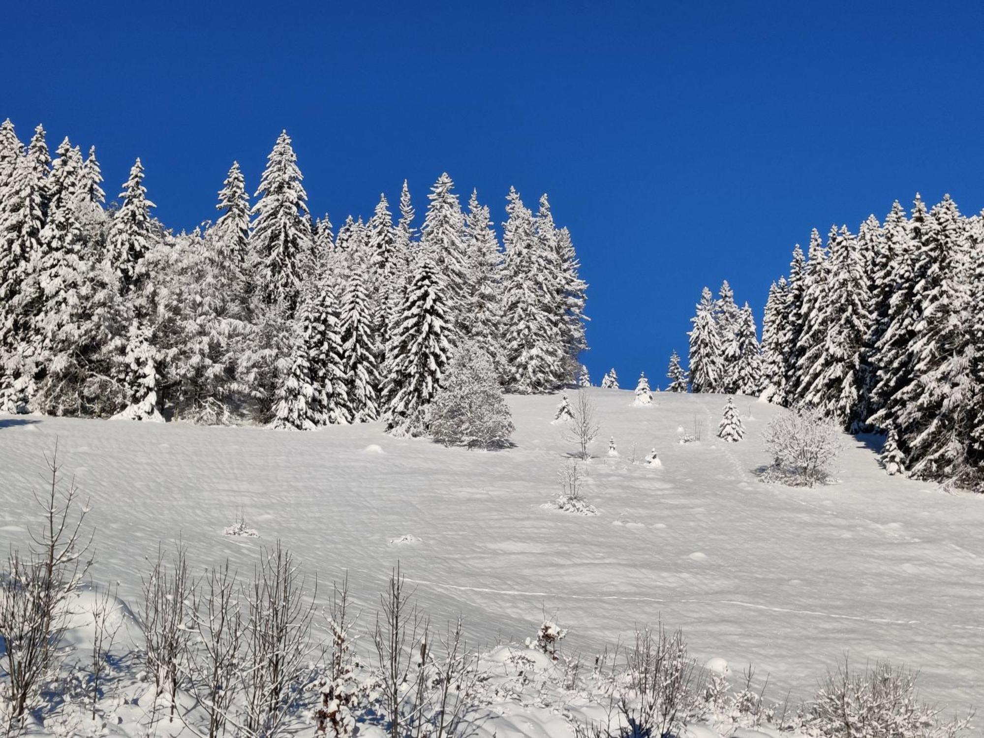 Berggasthaus Prager Boden Todtnau Extérieur photo