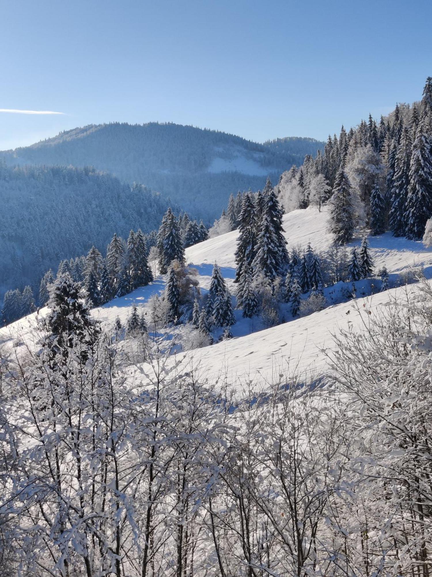 Berggasthaus Prager Boden Todtnau Extérieur photo
