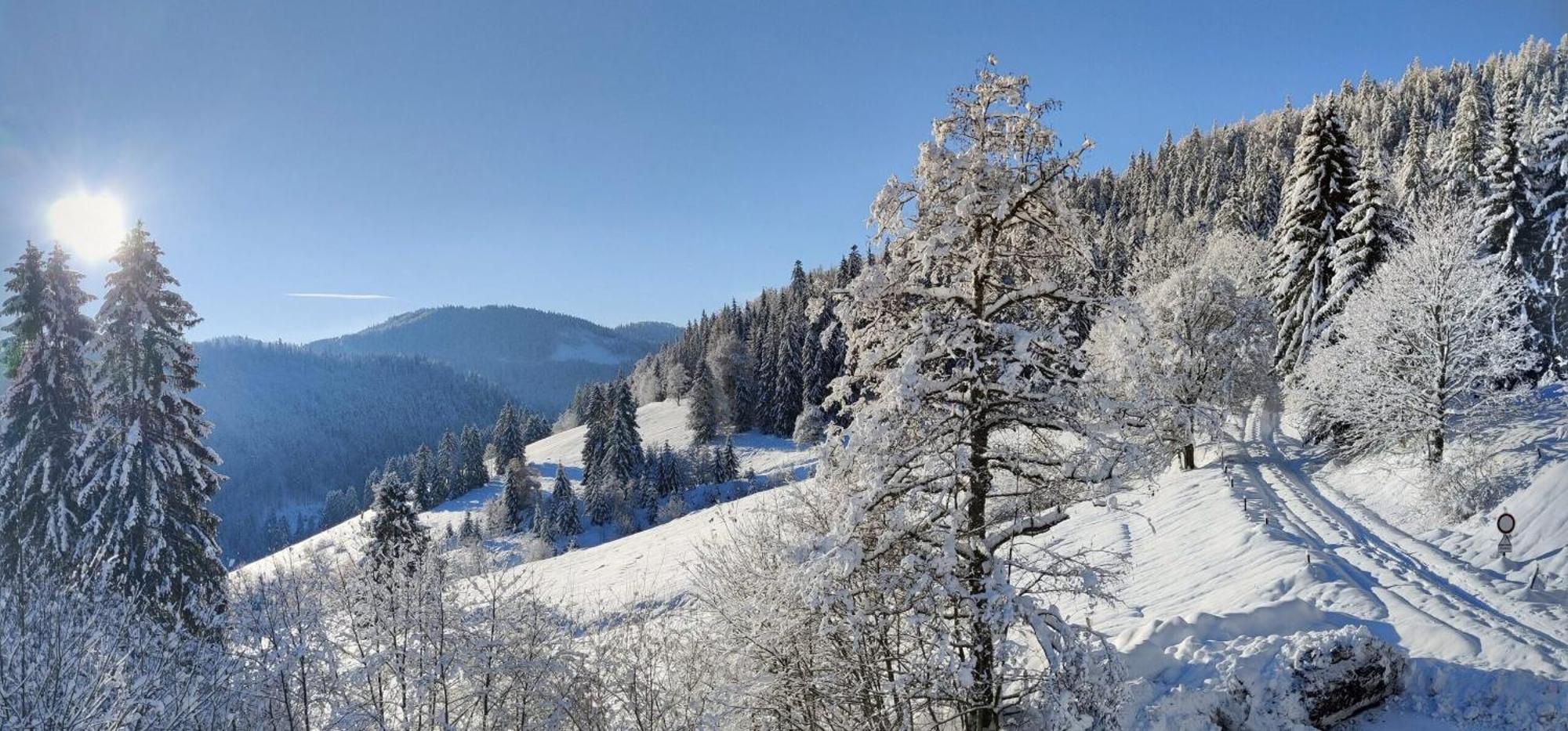 Berggasthaus Prager Boden Todtnau Extérieur photo