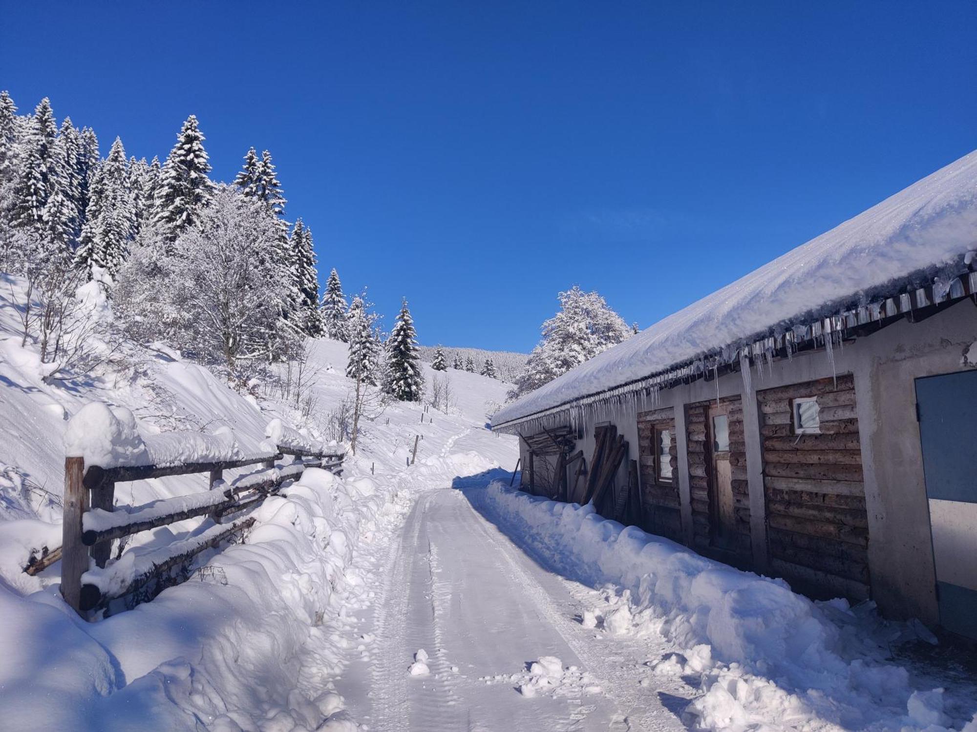 Berggasthaus Prager Boden Todtnau Extérieur photo