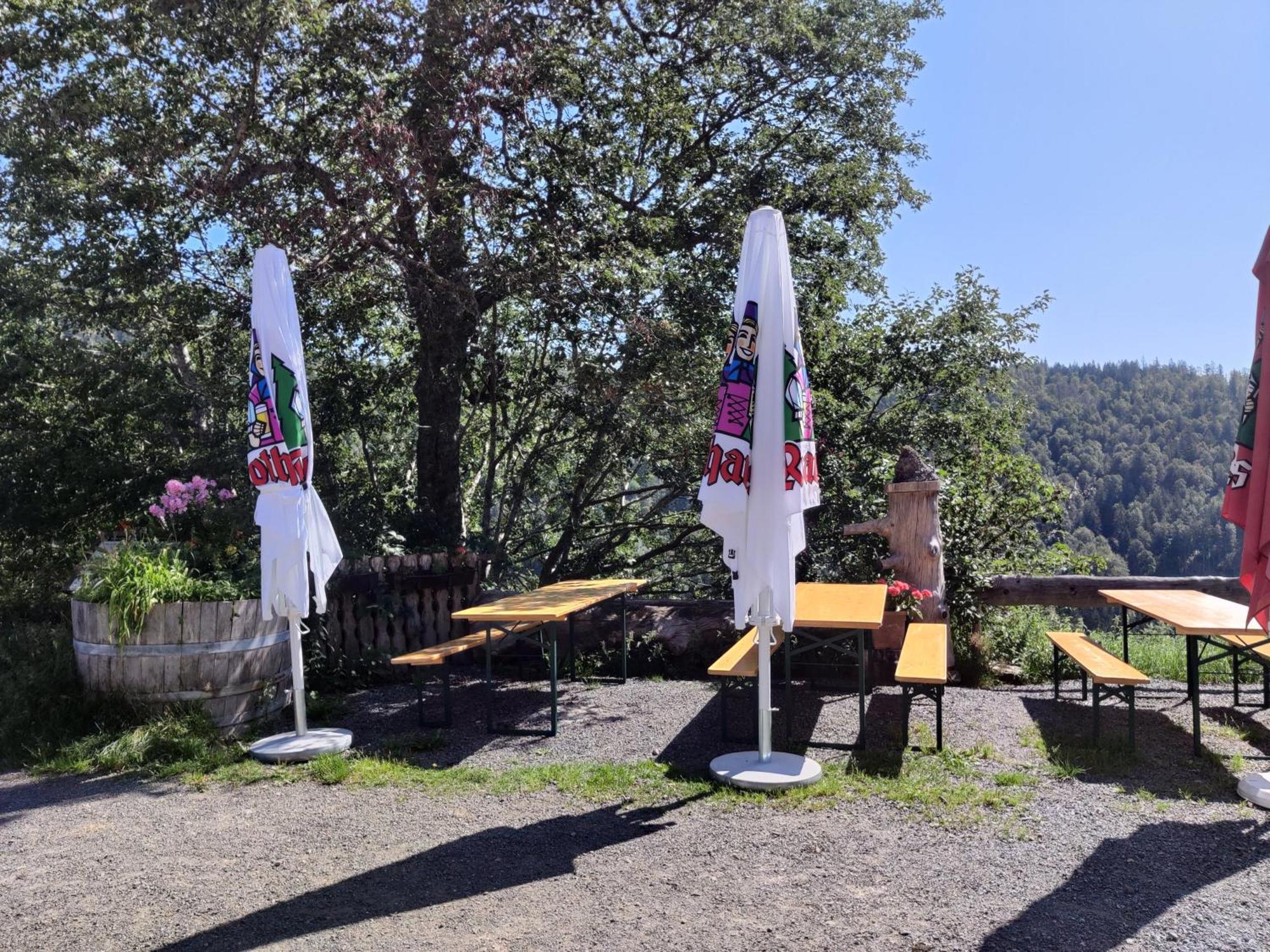 Berggasthaus Prager Boden Todtnau Extérieur photo