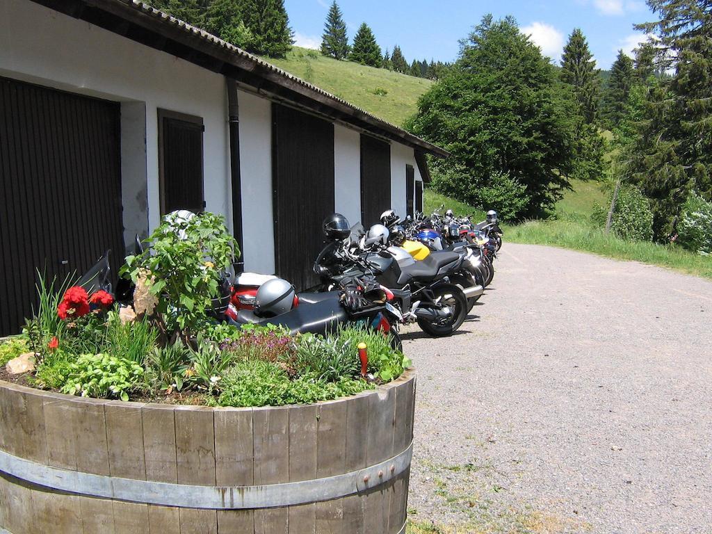 Berggasthaus Prager Boden Todtnau Extérieur photo