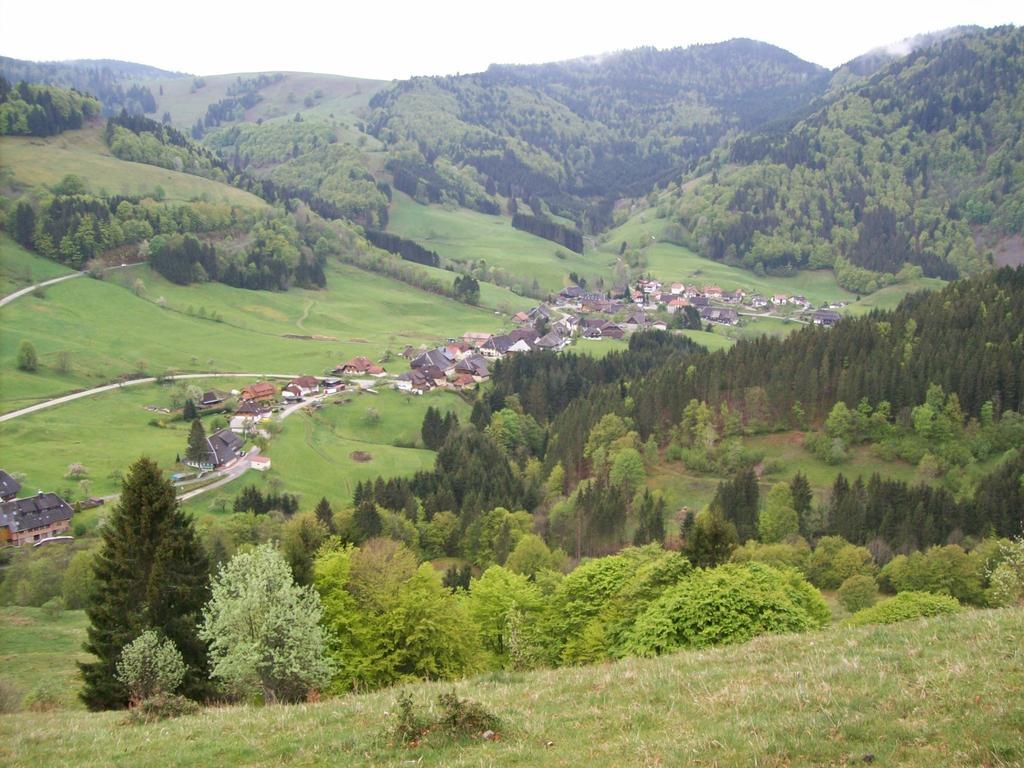 Berggasthaus Prager Boden Todtnau Extérieur photo